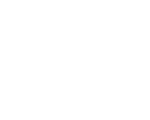 Fetzun logo